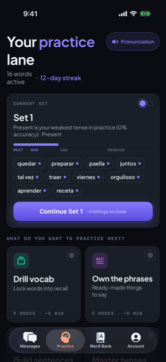 The Practice hub with the current set and the drill grid